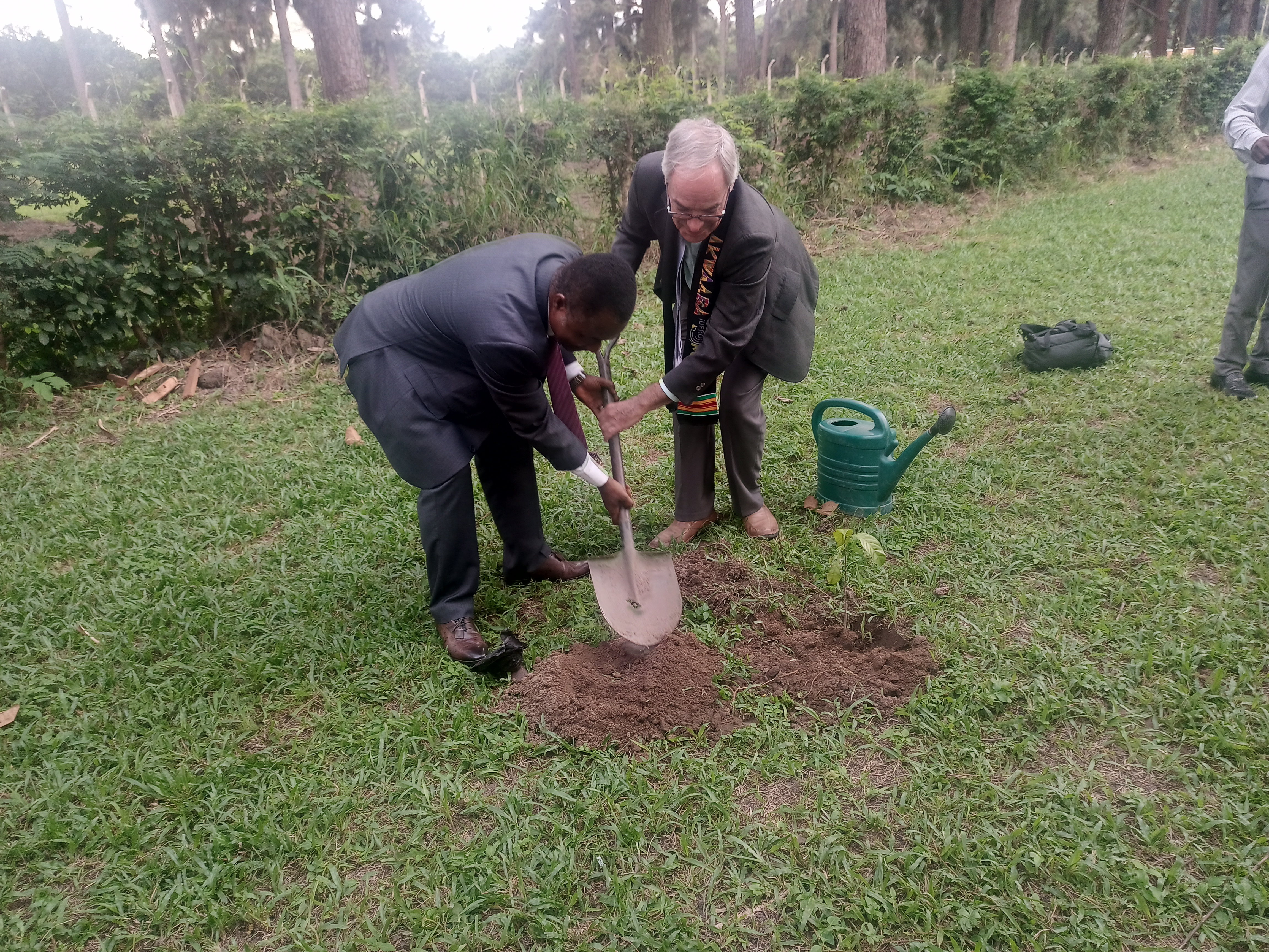The President of IUFRO, Dr. John A. Parrotta and the Director of CSIR-FORIG Plants a Tree to commemorate the Visit of the IUFRO Delegation to Ghana and CSIR-FORIG 