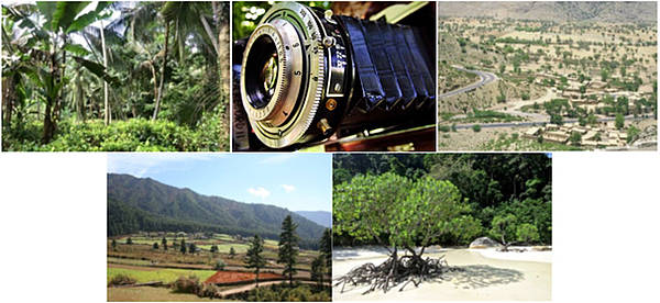 Forest Landscape Restoration